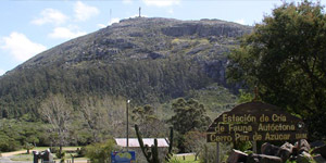Cerro Pan de Azúcar