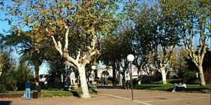 San Carlos
