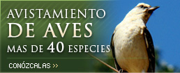 Avistamiento de Aves - Conozca más