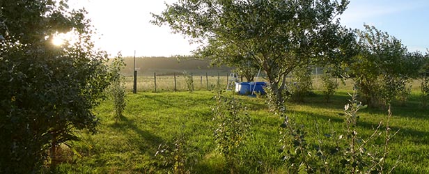 La Cimarrona | Estancia Turística | Maldonado - Uruguay | Agro Turismo | Turismo Rural