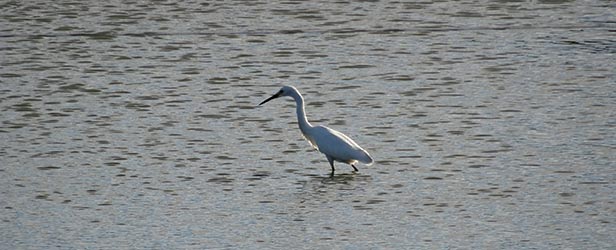 La Cimarrona | Estancia Turística | Maldonado - Uruguay | Agro Turismo | Turismo Rural