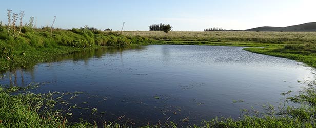 La Cimarrona | Estancia Turística | Maldonado - Uruguay | Agro Turismo | Turismo Rural